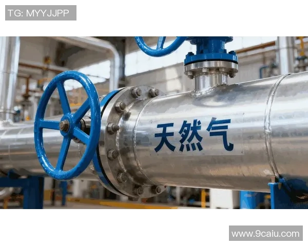 LNG市场竞争策略深度分析与实战经验分享