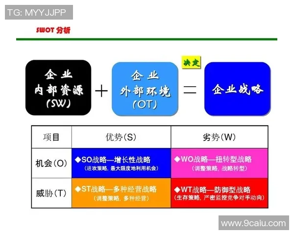 深入分析V5战队的进攻策略与战术布局探讨